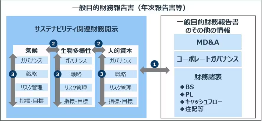 一般目的財務報告書