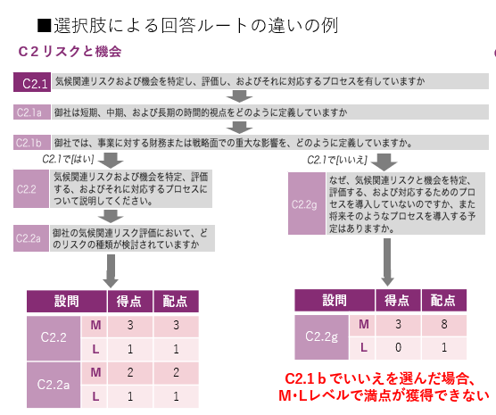 回答ルートの違い