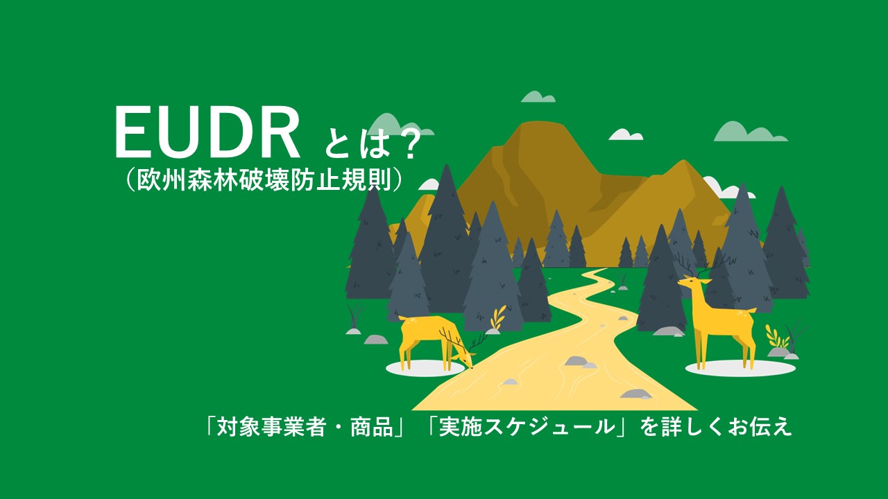 EUDR（欧州森林破壊防止規則）とは？「対象事業者・商品」や「実施スケジュール」を詳しくお伝え