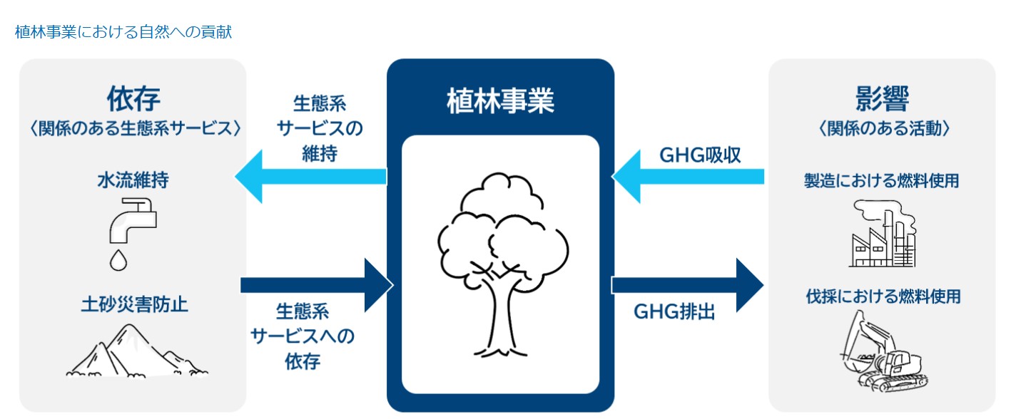 「自然関連財務情報開示タスクフォース(TNFD)」への対応