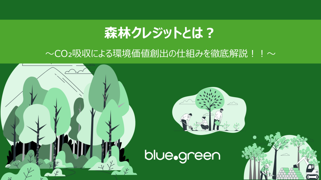 森林クレジットとは？～CO₂吸収による環境価値創出の仕組みを徹底解説！～  サムネイル