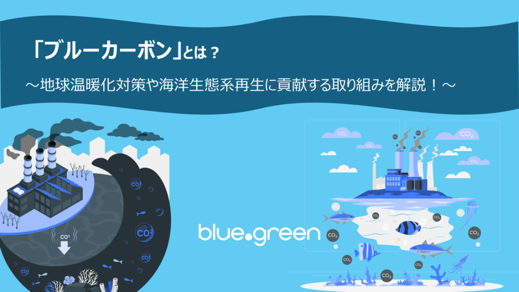 「ブルーカーボン」とは?地球温暖化対策や海洋生態系再生に貢献する取り組みを解説!