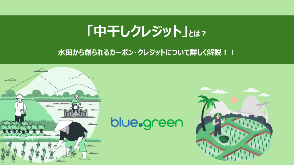 「中干しクレジット」とは？水田から創られるカーボン・クレジットについて詳しく解説