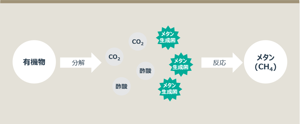 メタン生成の仕組み